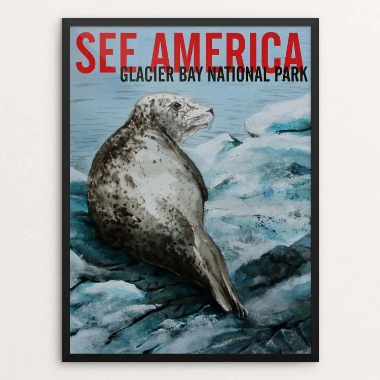 Glacier Bay National Park -- Harbor Seal by Bruce and Scott Sink