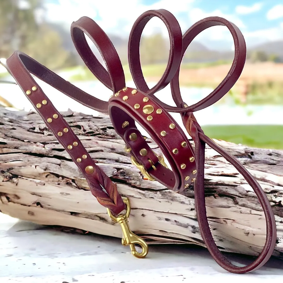 Hamptons Leather Dog Collar