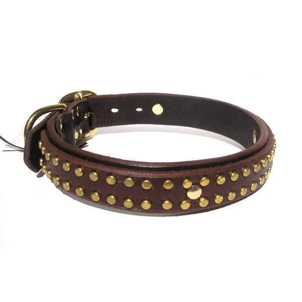 Hamptons Leather Dog Collar