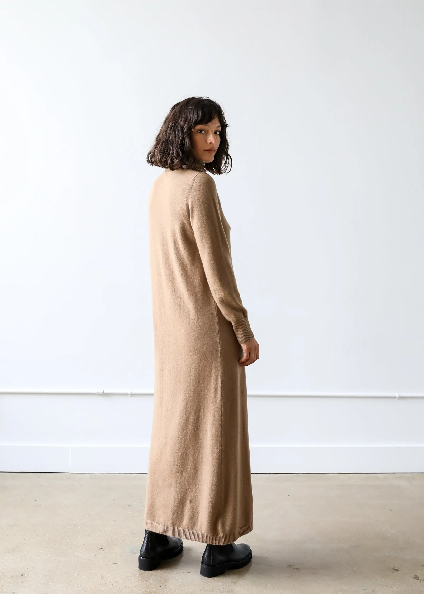 Lucia Turtleneck Dress in Camel Cashmere