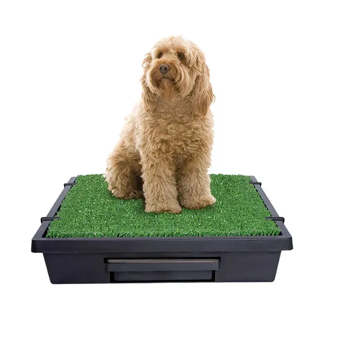 PetSafe Pet Loo Pet Toilet