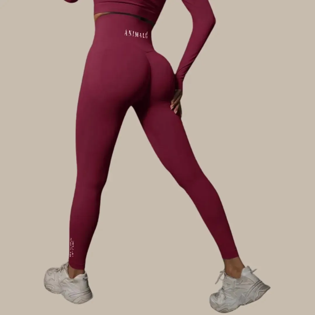 Seamless Yoga Leggings