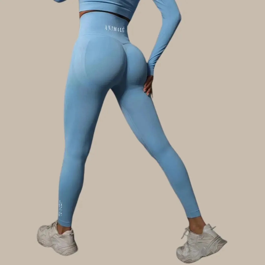 Seamless Yoga Leggings