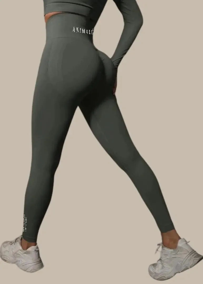 Seamless Yoga Leggings