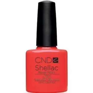 Shellac Tropix