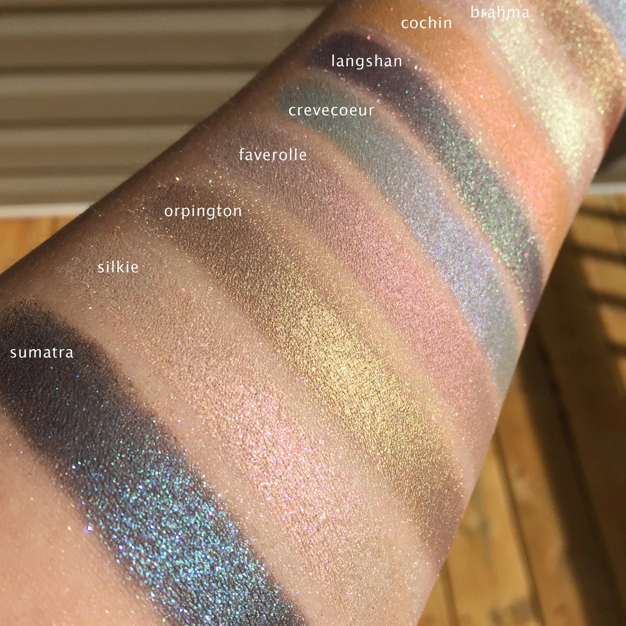 SUMATRA - EYESHADOW