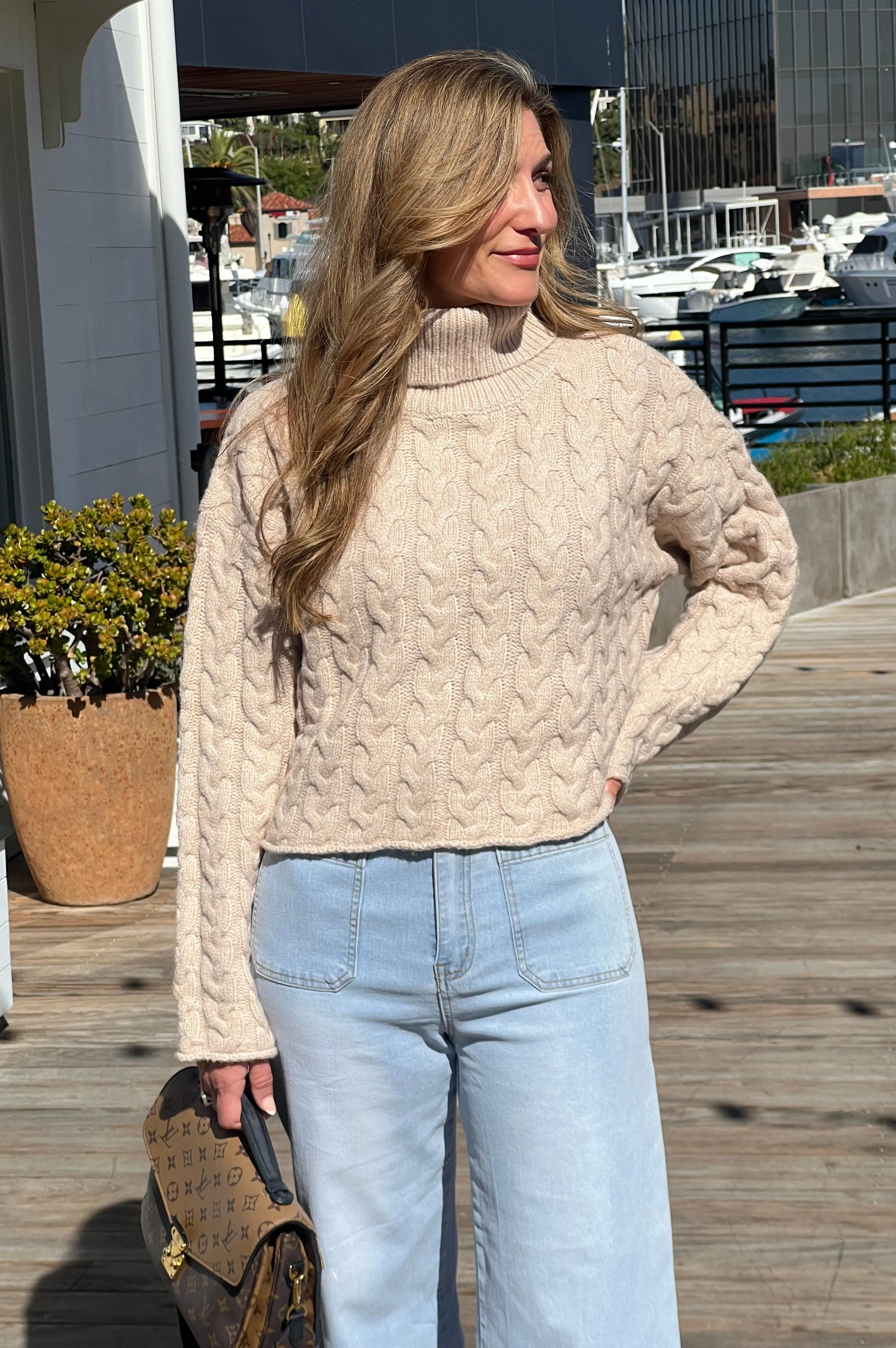 Thick Braid Turtleneck Sweater Taupe