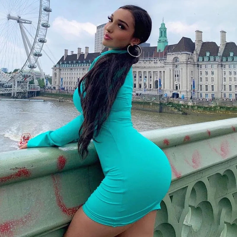 Tianna Long Sleeved Stretch Mini Dress